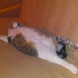 Meet your Posher, Brad